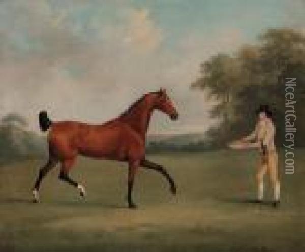 A Bay Hunter With A Groom, In A 
Wooded Landscape; And A Saddled Bayhunter Held By A Groom, In A Wooded 
Landscape Oil Painting - John Nost Sartorius