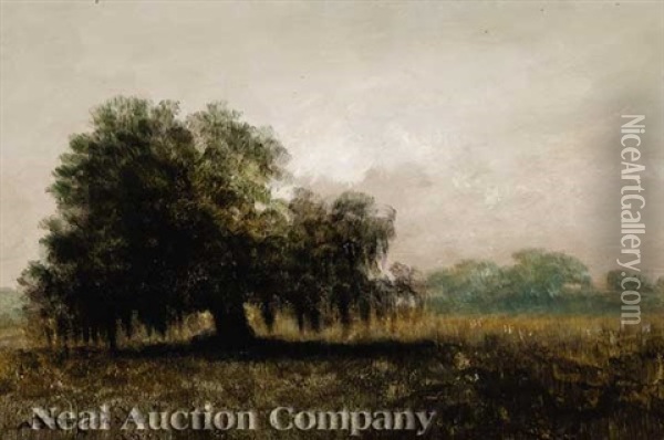 Early Morning In Lafourche Country Oil Painting - Alexander John Drysdale