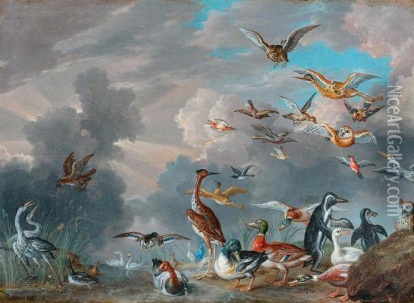 Bird Life. Oil Painting - Jan van Kessel