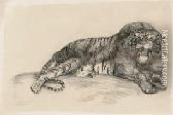 Studies Of Wild Animals Oil Painting - George Stubbs