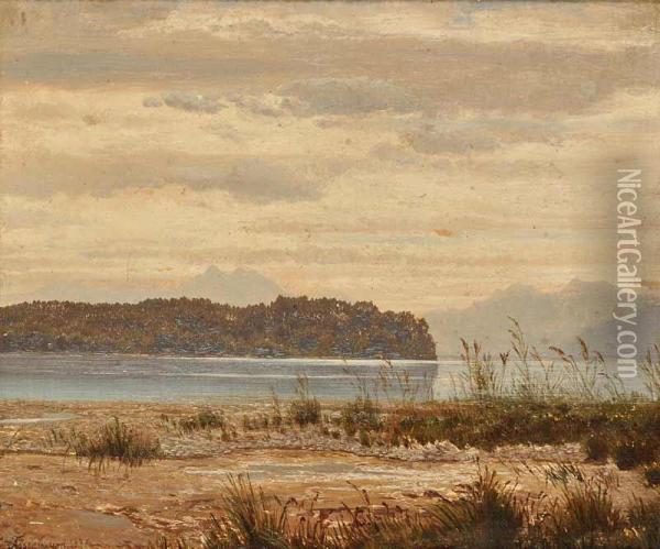 Alandscape With A Lake Oil Painting - Fanny Assenbaum