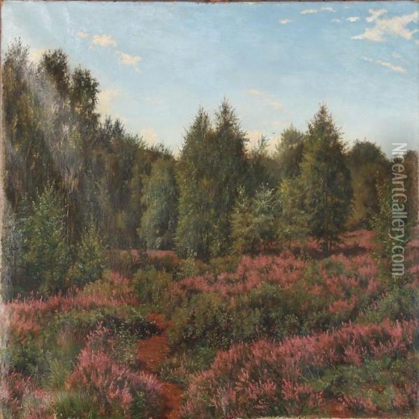 Landscape With Heather And Birch Trees Oil Painting - Caroline Amalie Moller