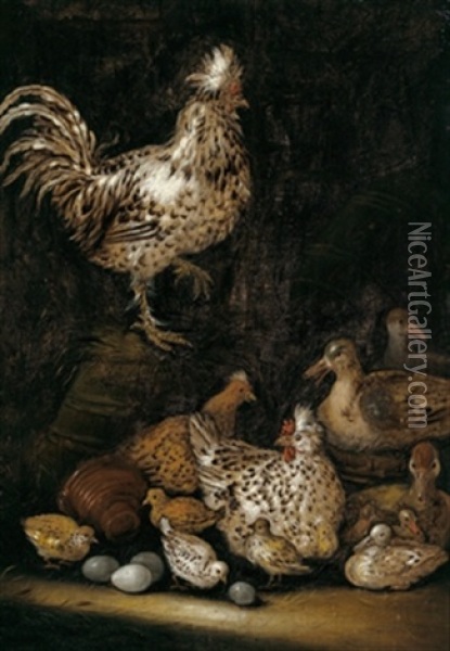 Huhner Und Enten Mit Ihren Kuken In Einem Geflugelhof Oil Painting - Petrus Schotanus