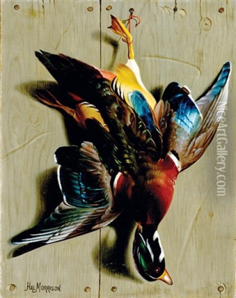Hanging Wood Duck Oil Painting - Hal Alexander Courtney Morrison