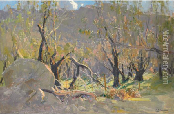 Grampians Landscape Oil Painting - Arthur Ernest Streeton
