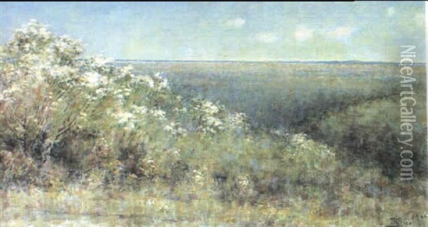 Springtime Looking From Kallista Heights Oil Painting - Jane R. Price