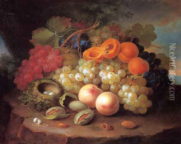 Still Life with Fruit and Bird's Nest Oil Painting - George Forster