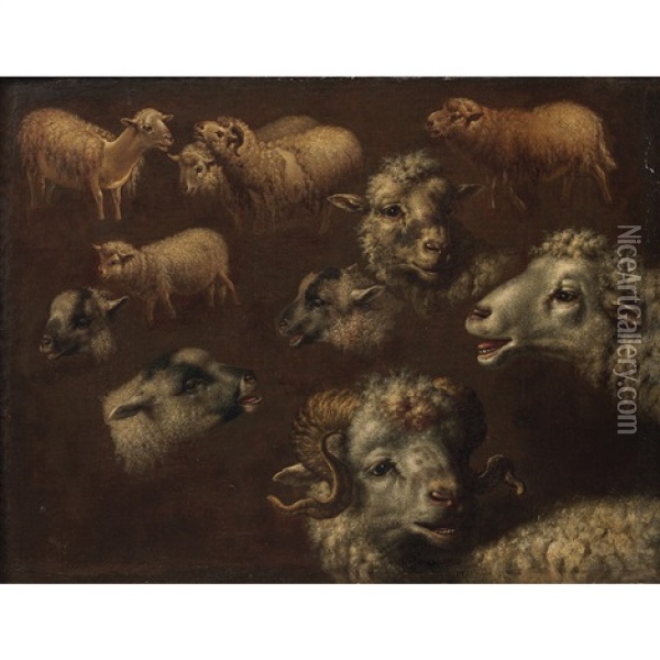 Etudes De Moutons Oil Painting - Francesco Londonio
