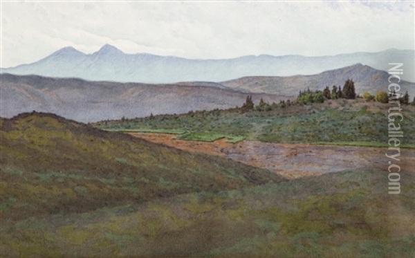 Upland Landscape Oil Painting - Gunnar Widforss