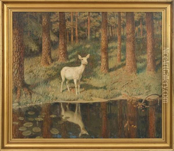 Forest Scenery With A Fawn At A Forest Lake Oil Painting - Gerhard V.E. Heilmann