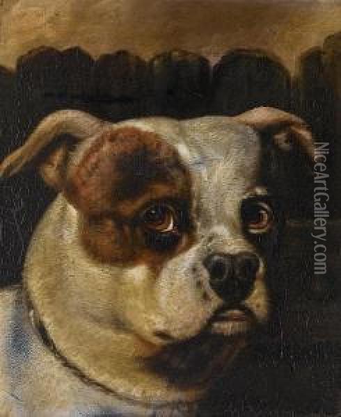 Head Study Of The Bulldog Billy; Head Study Of The Bulldog Wasp Oil Painting - Henry Bernard Chalon