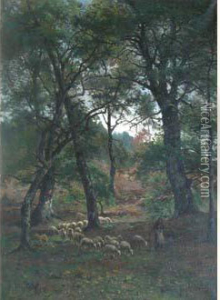Moutons Dans Le Sous-bois Oil Painting - Amedee Baudit