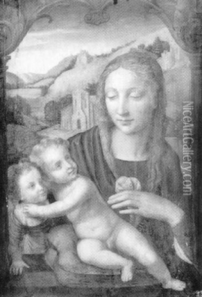 Vierge A L'enfant Oil Painting - Bernardino Luini