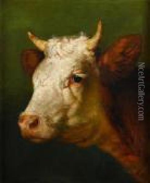 Head Of A Bull Oil Painting - Rosa Bonheur