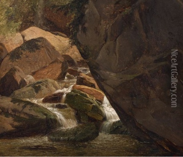 Rochers Et Ruisseau A Maglan Oil Painting - Francois Diday