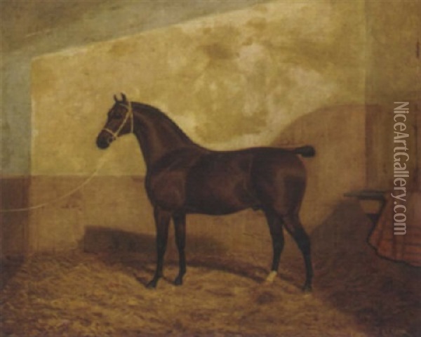 A Tethered Brown Hunter In A Stable Oil Painting - Albert Clark