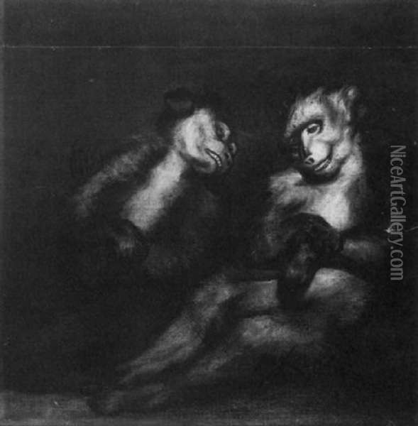 Study Of Two Monkeys Oil Painting - James (Thomas J.) Northcote