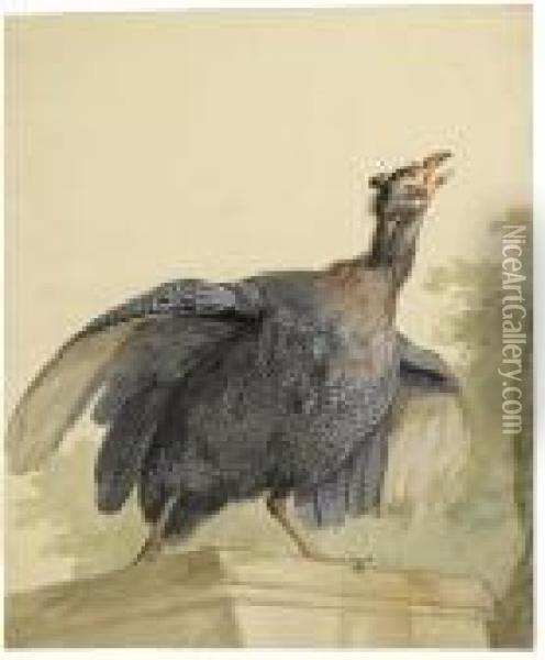 A Guinea Fowl On A Ledge Oil Painting - Aert Schouman
