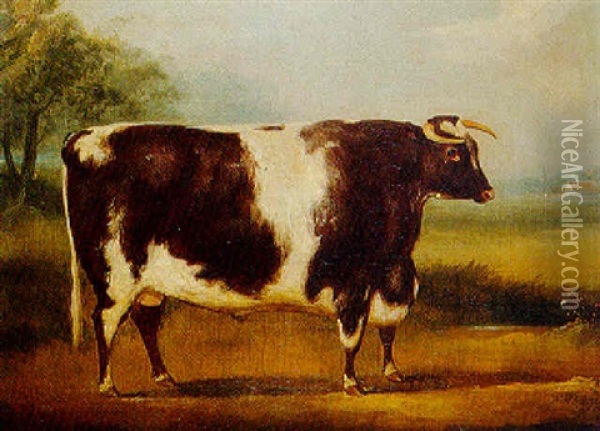 A Brown And White Prize Bull In A Landscape Oil Painting - William Henry Davis