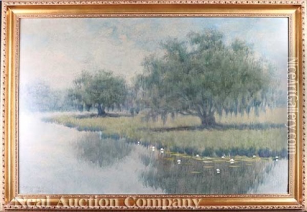 Bayou Scene With Lily Pads Oil Painting - Alexander John Drysdale