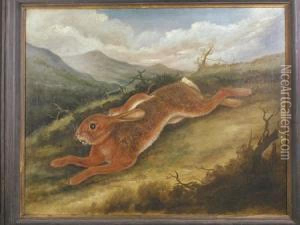 A Rabbit And A Weasel Oil Painting - Samuel Spode