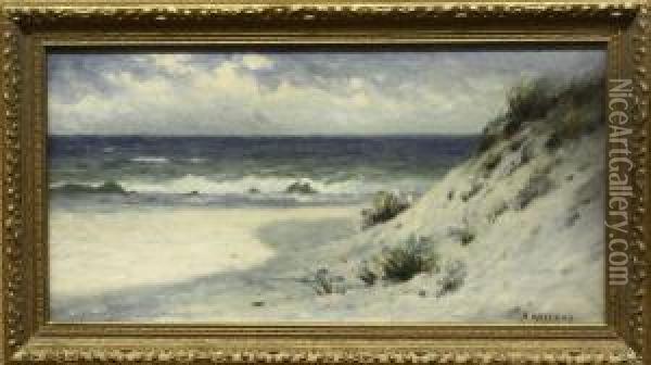 Coastal Landscape With Flowering Dunes Oil Painting - Nels Hagerup