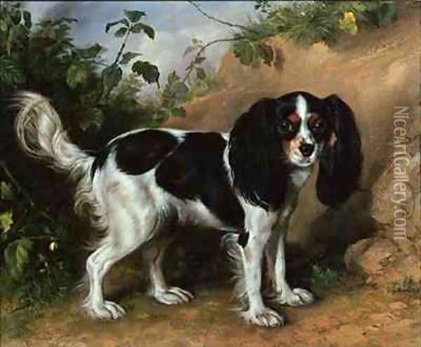 King Charles Spaniel Oil Painting - David Cunliffe