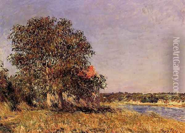 The Plain of Thomery and the Village of Champagne Oil Painting - Alfred Sisley