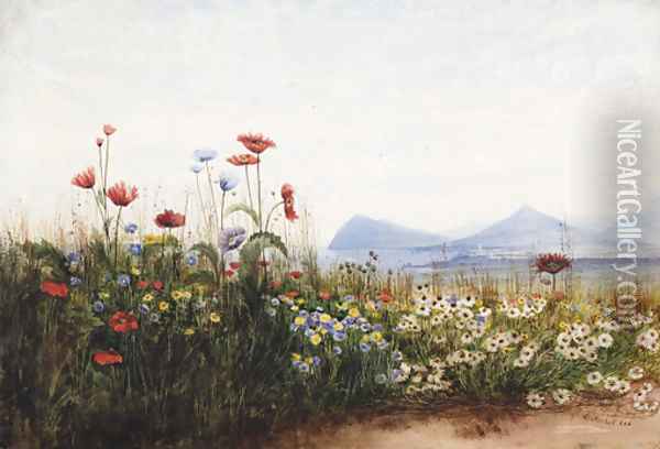 Poppies, cornflowers and daisies on Killiney Hill Oil Painting - Andrew Nicholl