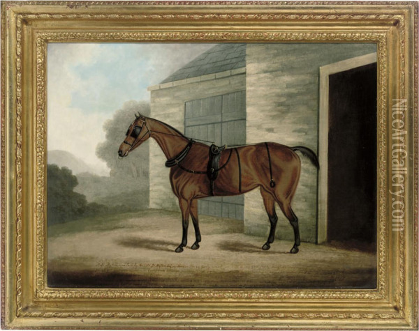 A Bridled Chestnut Horse By A Stable Oil Painting - Henry Clowes