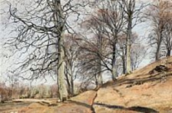 Autumn Landscape With Naked Trees Oil Painting - Janus la Cour