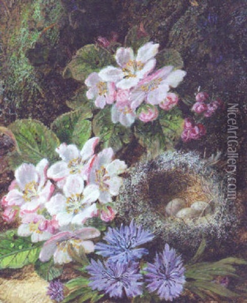 Apple Blossom And A Bird's Nest With Eggs On A Mossy Bank Oil Painting - Oliver Clare