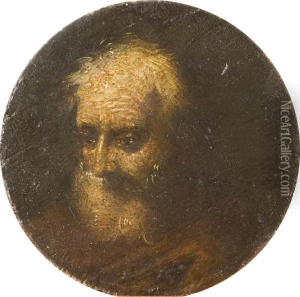 Ritratto D'uomo Con Barba Oil Painting - Francesco Fracanzano