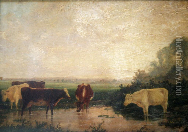 Cattle Watering At A Country Pool Oil Painting - William Evans Of Bristol