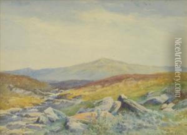 A Moorlandstream Oil Painting - John Bates Noel