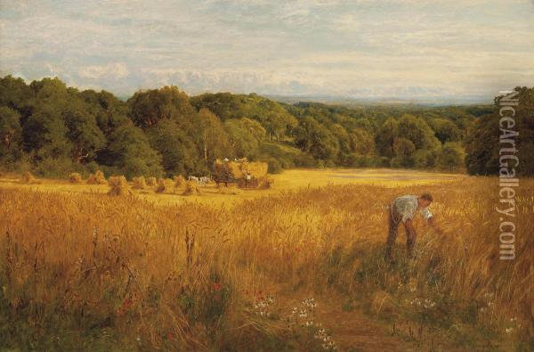 A Golden Harvest Oil Painting - John Clayton Adams