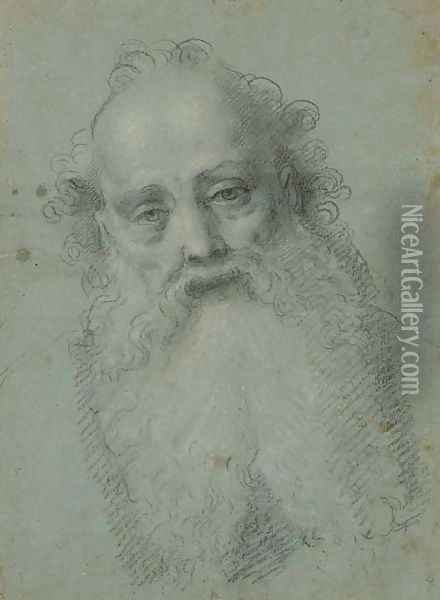 The head of a bearded man Oil Painting - Bernardino Lanino