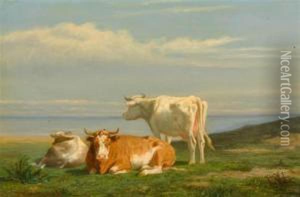 Cows At A Lake Oil Painting - Anthonie Jacobus Van Wyngaerts