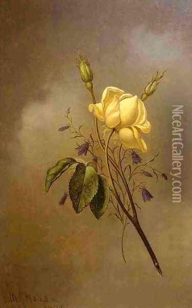 White Rose Against A Cloudy Sky Oil Painting - Martin Johnson Heade