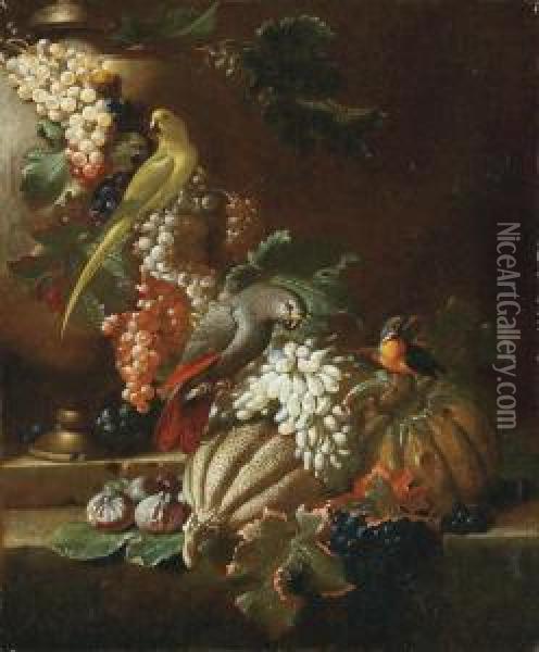 Tralci Di Vite Con Frutta E Pappagalli Oil Painting - Jacob van der (Giacomo da Castello) Kerckhoven
