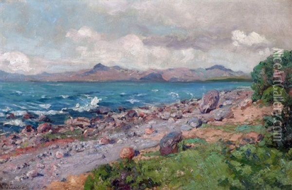 Costa De Lago Oil Painting - Rinaldo Giudici