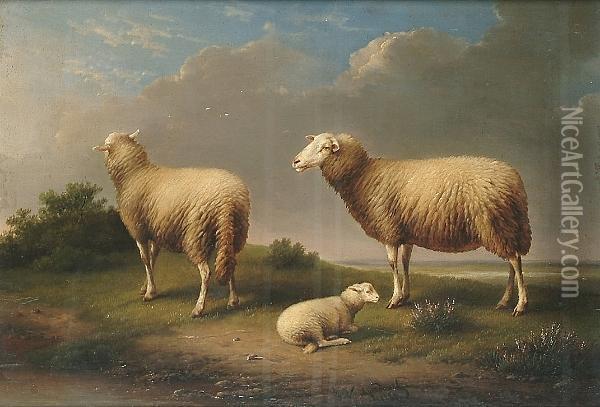 Sheep In A Landscape Oil Painting - Franz van Severdonck