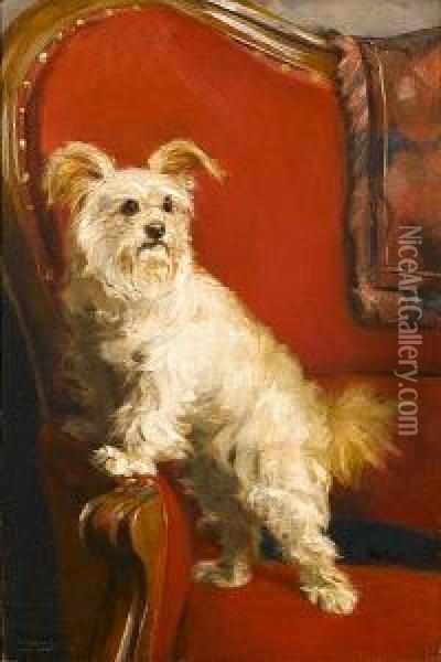 Toy Terrier On A Red Chair Oil Painting - Charles Henry Harmon