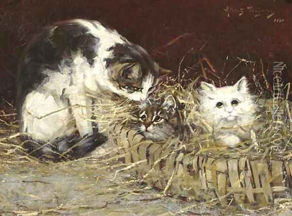 Kittens in a basket Oil Painting - Albert Julien Toefaert