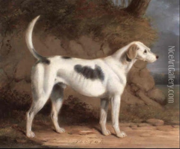 Factor, A Favorite Hound In A Landscape Oil Painting - William Barraud