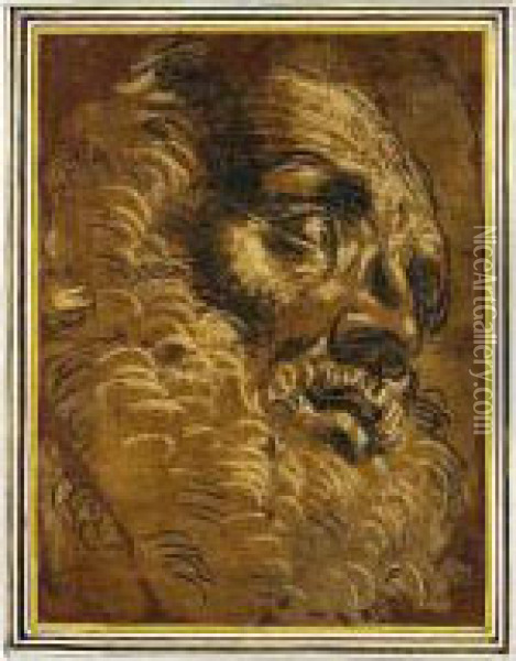The Head Of A Bearded Man Oil Painting - Giacomo Cavedone