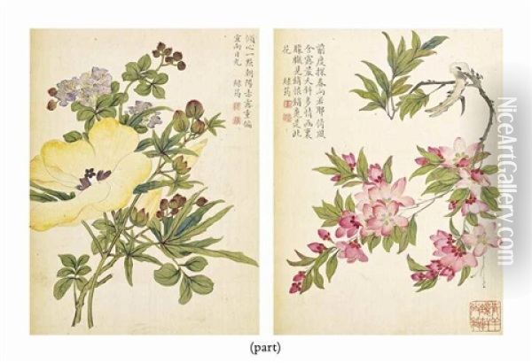Album De Fleurs (8 Works) Oil Painting -  Zhu Lin