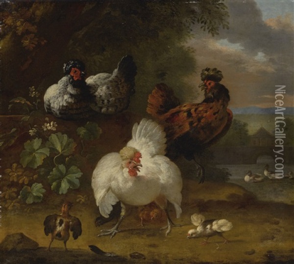 Decorative Fowl By A River Oil Painting - Melchior de Hondecoeter
