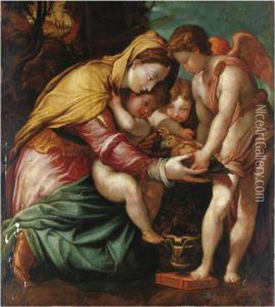 Madonna Del Pappagallo Oil Painting - Rancesco De' Rossi (see Salviati, Cecchino Del)