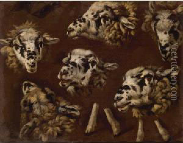 A Study Of Heads Of Sheep Oil Painting - Johann Melchior Roos